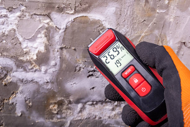 Best Attic Mold Remediation in Fennville, MI